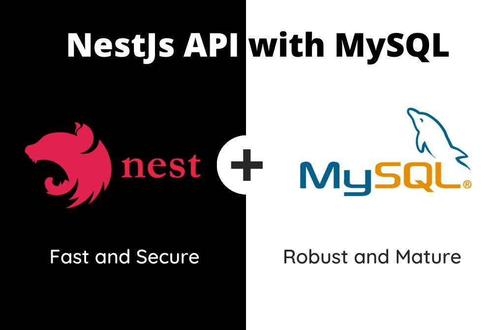 Code cùng Anson (P1): NestJS-MySQL Type ORM